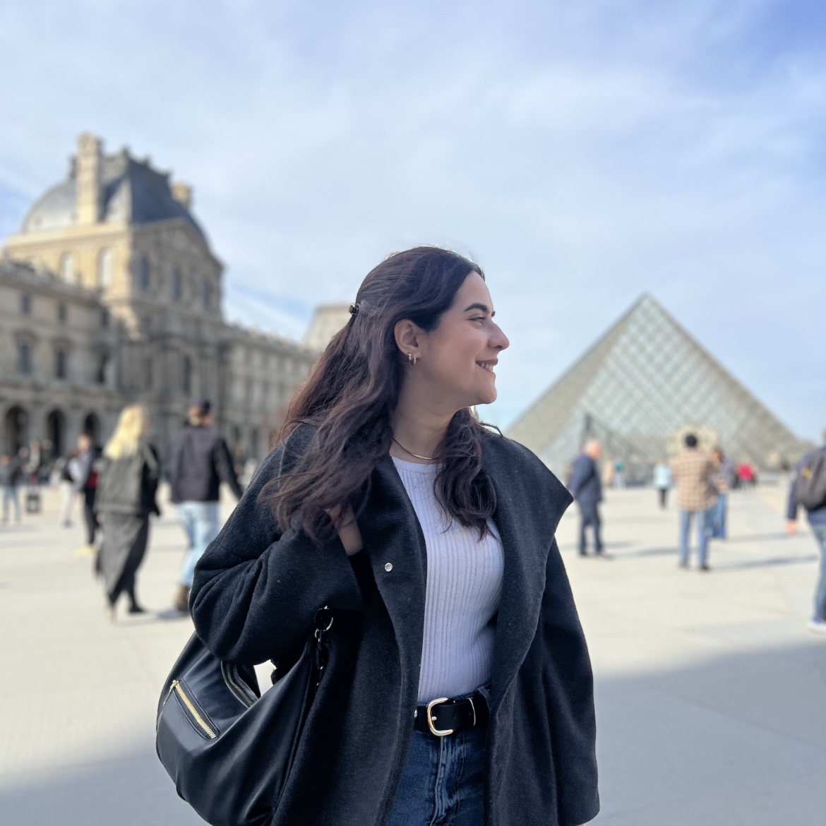 PRESET PARIS - FT6 ANTES